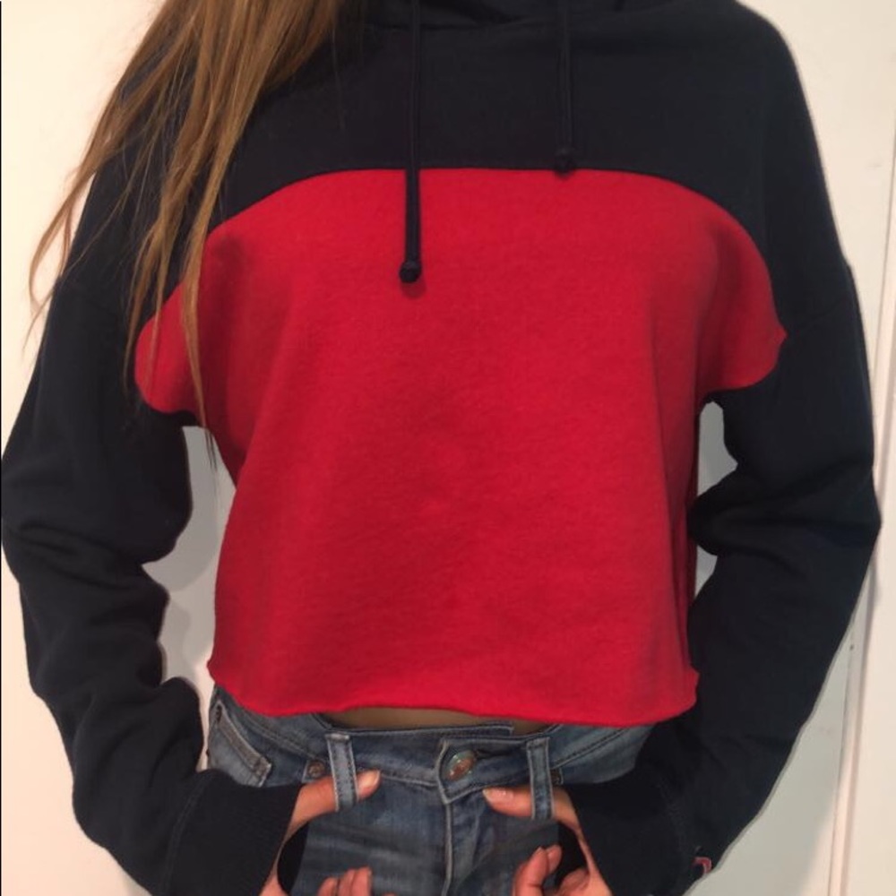 hollister cropped sweatshirt ( women’s)
